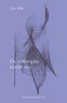 Cees Bolle - De reikwijdte neemt toe (e-Book)
