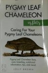 Lolly Brown 286721 - Pygmy Leaf Chameleons as Pets: Pygmy Leaf Facts, Care, Breeding, Nutritional Information, Tips, and More! Caring For Your Pygmy Leaf Chameleons