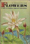 Zim and Martin - Flowers - a guide to familiar American wildflowers