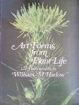 Harlow, William M. - Art Forms from Plant Life. 122 photographs
