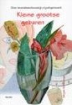 Mirjam Schuilenga - Kleine grootse gebaren