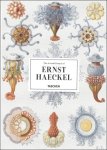 Rainer Willmann , Julia Voss ; translation : Elizabeth Clegg - Art and Science of Ernst Haeckel
