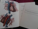 Bell, Charles - Sir Charles Bell's Manuscript of Drawings of the Arteries [AND] Charles Bell and the Origin of His Engravings of the Arteries