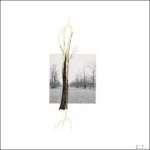 Claude Adjil, Alexa Chow, Text by Federico Campagna, Ludovico Einaudi, Hans Ulrich Obrist, Precious Okoyomon, Giuseppe Penone, Elif Shafak - Giuseppe Penone Thoughts in the Roots