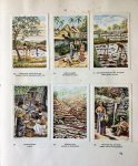 Lamster,  J. C. tekst en Fernhout, G. S. afbeeldingen - Bali   -    plaatjesalbum  1932  Eerste Uitgave