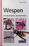 Rolf Witt - Wespen beobachten, bestimmen