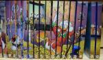 Disney, Walt - Donald Duck Pockets vanaf 166,170, 171, 172, 173 (E2,50), 174, 1741/2  t/m 176, 180, 182 t/m 188, 190, 190 1/2, 191 t/m 198, 198 1/2, 199 t/m 201, 202 1/2, 203 t/m 205