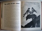 Reuter, Hans (Red.). - Fototijdschrift: Agfa Photoblätter 13. Jahrgang 1936. (Compleet)