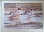 Erik van Ommen & Wilma Brinkhof - Ganzenpad impressies lauwersmeergebied