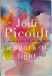 Jodi Picoult - A Spark of Light