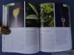 Christel Kasselmann. - Aquariumplanten. Alle soorten uit de praktijk.