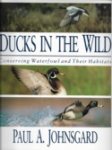 Johnsgard, Paul A. - Ducks in the Wild