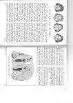 Verbraeck, A, Hoofdredacteur - WERELD populair wetenschappelijk maandblad 1952