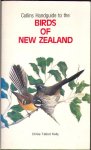 Talbot, Kelly Chlöe - Birds of New Zealand
