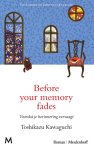 Toshikazu Kawaguchi - Before Your Memory Fades