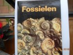 Pinna Giovanni - Fossielen / druk 1