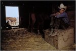 William Albert Allard - Vanishing Breed Photographs of the Cowboy and the West