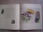 Tunnicliffe C. F. - The peregrine sketchbook (zeldzaam)