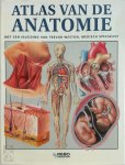 A. Smink 31825 - Atlas van de anatomie