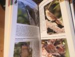 Fogden ea - A Photographic Guide to the Birds of Costa Rica