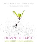 Sacha de Boer - Down to Earth