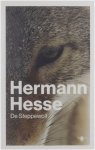 Hermann Hesse Peter Verstegen - De steppewolf