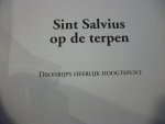  - Sint Salvius op de terpen