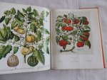 Besler, Basilius - The Book of Plants. The Complete Plates.