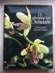 Hunt - Schoonheid van orchideeen