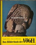 Ottens, Heinrich Wilhelm - Das Bilderbuch der Vögel