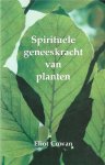 Eliot Cowan - Spirituele geneeskracht van de planten