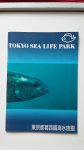  - Tokyo Sea Life Park