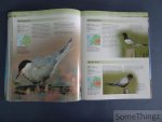 Alderton, David - Europese Vogels - Uitgebreide gids met ruim 500 soorten - Meer dan 1000 prachtige foto s - Kaders met identificatie-informatie en gedetailleerde verspreidingskaarten.