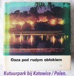 Diversen - Oaza pod rudym oblokiem (Poolse titel)