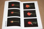  - Catalogus  Holland Flower   (Rozen, tulpen enz.)