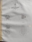 Treviranus, Gottfried Reinhold und Treviranus, Ludolf Christian. - Vermischte Schriften anatomischen und physiologischen Inhalts. Abhandlungen über den innern bau der ungeflugelte insekten