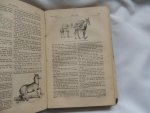 Ingram COBBIN - The Descriptive Testament; containing the Authorised Translation of the New Testament ... with notes, explanatory of rites, customs, sects, phraseology ... By Ingram Cobbin ... Illustrated with maps and engravings.