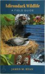 James M. Ryan - Adirondack Wildlife A Field Guide