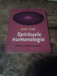 Gale, J. - Spirituele numerologie / ontdek je levensopdracht
