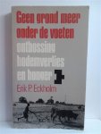 ECKHOLM Erik P. - Geen grond meer onder de voeten. Ontbossing, bodemverlies en honger. (vertaling van Losing Ground - 1976)