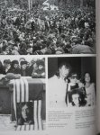 Delano, Julia - The Beatles album