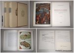 STEFANI, GIUSEPPE, - Insurance in Venice from the origins to the end of the Serenissima. Documents published for the 125th anniversary of the company, 1831-1956. (2 vol. set).