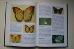 Landman, Wijbren - biologie: VLINDER  ENCYCLOPEDIE