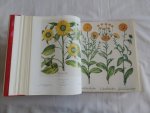 Besler, Basilius - The Book of Plants. The Complete Plates.