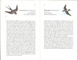 Oreel, Gerald J .. Vogelafbeeldingen : H.J. Slijper en Panorama's : F.J. Maas - Treinloop en vogelvlucht. Vogels kijken vanuit de trein.