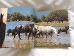 Asociación Nacional de Criadores de Caballos de Pura Raza Española, - Ignacio Candau Fernandaz - Mensaque / Pedro Conesa Sanchez / Juan Llamas Perdigo - Book of merits of Spanish pure-bred horses and mares. - Spanish purebred horse, L.I.M.P.R.E. Spanish pure-bred LIMPRE L.I.M.P.R.E.