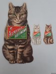 Almidon Hoffmann - Almidon Hoffmann + 2x Hoffmann's Reis-Stärke mit der Katze