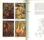 Nijhuis, Miep .. Tekeningen Aat van Wijk - Fuchsia's: van Stek tot stam  .. Kweek en verzorging door de beginner