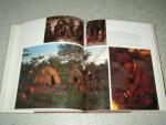 Wannenburgh, Alf ( Text ) & Bannister , Anthony & Johnson , Peter Photography - The Bushmen