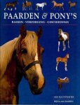 Tamsin Pickeral - Paarden & Pony's